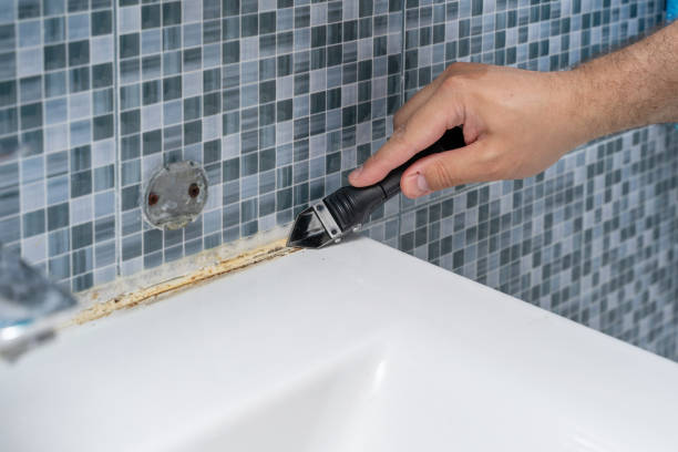 Best Professional Mold Removal  in Greencastle, IN