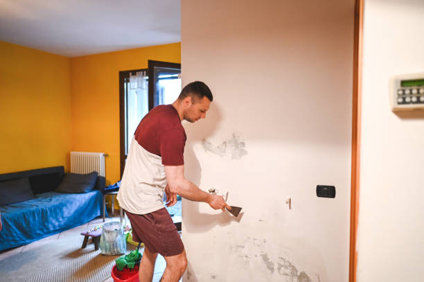 Home Mold Removal in Greencastle, IN